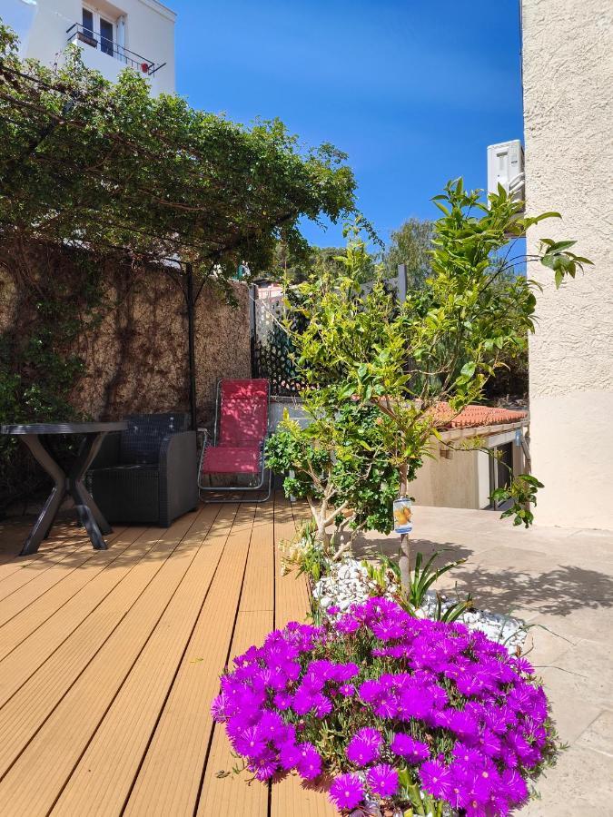 Petite Etoile De Mer - Studio Hyper Equipe A 150M D'Une Plage De Sable Fin Grande Terrasse Presqu'Ile De Charme Saint-Mandrier-sur-Mer Exterior photo